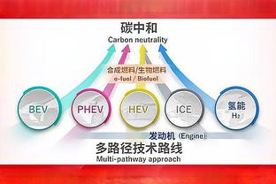 亚历山大领衔四大后场天王 肯塔基出品后卫正席卷联盟